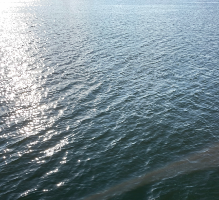 湾奥ブリとはいかず…